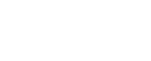 VHCM Consulting